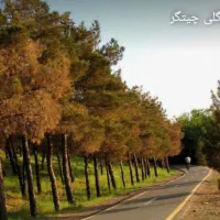 خرید اقساطی واحد نزدیک تحویل سند رسمی و دید ابدی|فروش آپارتمان|تهران, شهرک علم و فناوری|دیوار