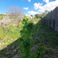 باغ در بدرانلو