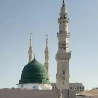 فیش عمره
