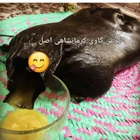 روغن حیوانی اصل کرمانشاهی وعسل صدرصد طبیعی کردستان|خوردنی و آشامیدنی|شاهین‌شهر, خانه کارگر|دیوار