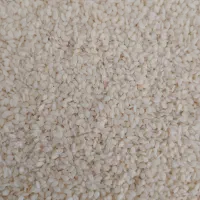 کنجد درجه یک|خوردنی و آشامیدنی|کاشان, گارزگاه|دیوار