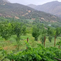 سوییت روستای گردشگری کوخدان 5 کیلومتری شهر سی سخت