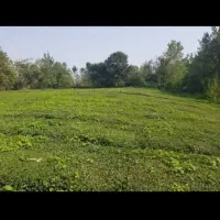 فروش زمین۷۲۰متری منابع طبیعی