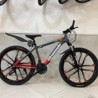 دوچرخه ببری24.24 دارای لوازم جانبی