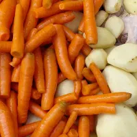 غذای خونگی سگ و گربه|لوازم جانبی حیوانات|شهریار, شهرک شاهد|دیوار