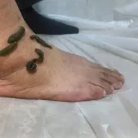 دکتر سنتی