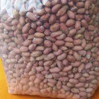 بادام زمینی آستانه