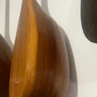 تنبور کلکسیونی اسدالله فرمانی