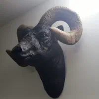 بز و رادیو معاوضه با طوطی ملنگو