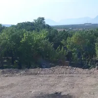 باغ کشاورزی تفریحی ۴۰۰متر پل زمانخان|فروش دفتر صنعتی، کشاورزی، تجاری|اصفهان, بوستان زاینده رود|دیوار