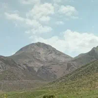 فروش سیمکارت رند