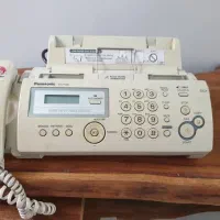 فاکس درحد نو