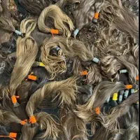 خریدار مو با بالاترین قیمت  از تهران