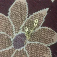 گم شدن گشواره