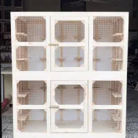 دوستان عزیز جفتکن ، جفت کن ،کبوتر و گنجه خروس لاری