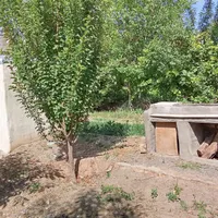 باغ تفریحی نزدیک با خانه و برق شهری|فروش دفتر صنعتی، کشاورزی، تجاری|ملایر, |دیوار