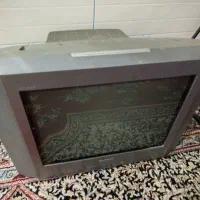 تلویزیون|تلویزیون و پروژکتور|برازجان, |دیوار