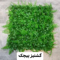 چمن مصنوعی و گرینوال و ترم وود|مصالح و تجهیزات ساختمان|قرچک, شهرک طلائیه|دیوار