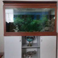 اکواریوم بامیز ام دی اف ووسایل کامل