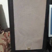 دو جفت باند آیوا ۳۰۶۰ و ریزینگ