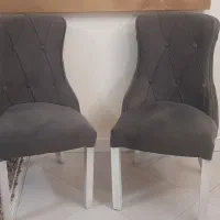 صندلی میزبان
