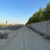 زمین ۳۰۰ متری در وهن آباد|فروش زمین و ملک کلنگی|رباطکریم, وهن آباد|دیوار