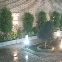 هرس باغبانی درخت کاری بریدن درخت