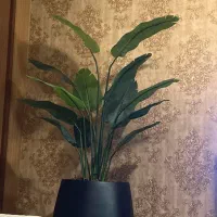 درختچه مصنوعی قیمت مناسب