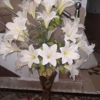 گل زیبا