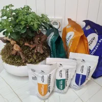 انقلابی بزرگ درمراقبت ازپوست ومو