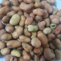 باقالی|خوردنی و آشامیدنی|نیشابور, شهرک بهارستان|دیوار