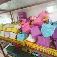 جوجه کشی مارال