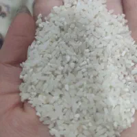 نیم دانه هاشمی