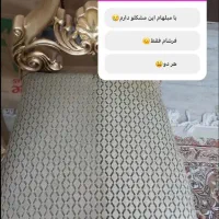 تخفیف ویژه برای همشهری های عزیز و ارسال سریع|مواد شوینده و دستمال کاغذی|همدان, |دیوار