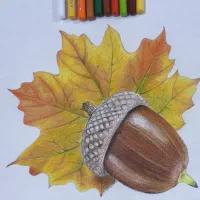آموزش رایگان نقاشی شاپرک
