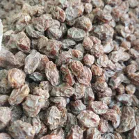 کشمش و مویز افتابی