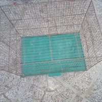 قفس بزرگ برای مرغ عشق و فنج هر نوع پرنده ای|لوازم جانبی حیوانات|کرمانشاه, |دیوار