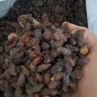 کشمش درجه یک افتابی|خوردنی و آشامیدنی|کرمانشاه, |دیوار