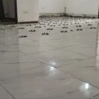 دیوارچینی وسیمان کاری وکاشی کاری ممی زاده|خدمات پیشه و مهارت|پارسآباد, |دیوار