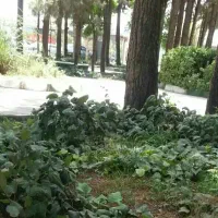 راهنمای کنید