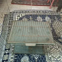 قفس قناری|لوازم جانبی حیوانات|خوی, |دیوار