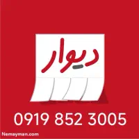 3005 852 0919