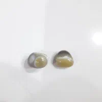 مهره سلطانی تضمینی