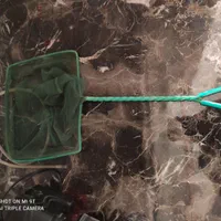 لوازم آکواریوم|ماهی|فردیس, فردیس|دیوار