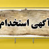 استخدام نیرو
