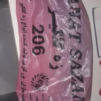 زه گلگیر ۲۰۶