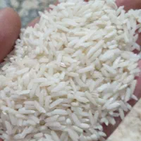 برنج هاشمی خالص با عطر و طعم به شرط