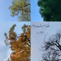 زمین مسکونی