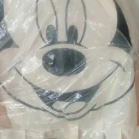 گهواره میکی موس|تخت و صندلی بچه|سنندج, |دیوار