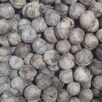 گردو فسنجون